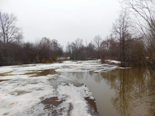 В реках Удмуртии за минувшие сутки зафиксировали незначительный подъем воды