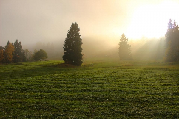 Сильный туман ожидается в Удмуртии утром 6 августа