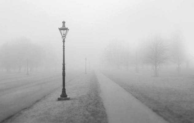 Жителей Удмуртии предупредили о плохой видимости на дорогах из-за тумана 11 и 12 ноября