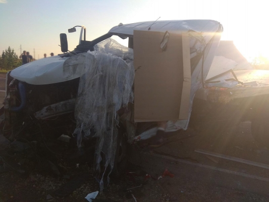 Водитель «Газели» погиб в столкновении с грузовиком на трассе в Удмуртии