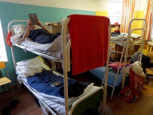 Приюты для бездомных людей и животных откроют в Удмуртии из-за коронавируса