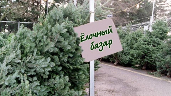 16 ёлочных базаров откроются в Ижевске 15 декабря