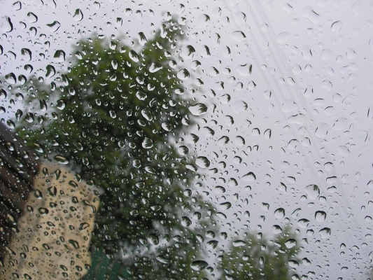 В ближайшие три дня в Удмуртии ожидаются дожди 