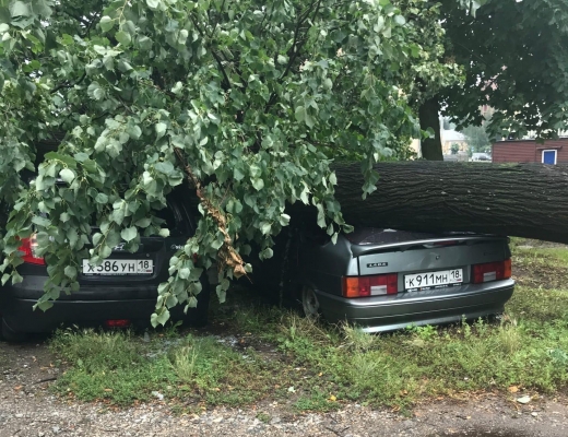 Итоги ливня в Ижевске: придавленные деревьями автомобили и потоки воды на улицах 