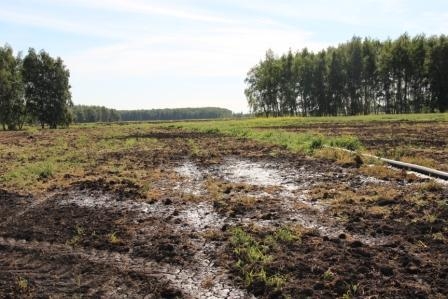 Уголовное дело по факту загрязнения почвы в лесничестве возбудили в Удмуртии 