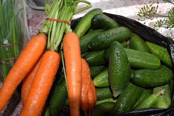 В феврале в Удмуртии более всего подорожали свежие огурцы и морковь