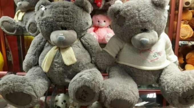 В Ижевске 17-летний студент похищал плюшевых медведей и дарил их девушкам