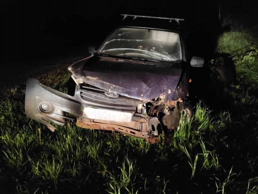 В Удмуртии пьяный водитель съехал в кювет и получил травмы
