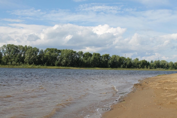 17-летняя девушка утонула на пруду в Завьяловском районе Удмуртии
