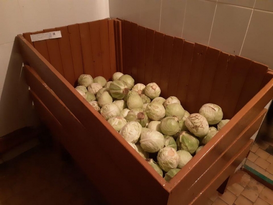 Поставляемые в детские сады Ижевска овощи проверили на содержание нитратов