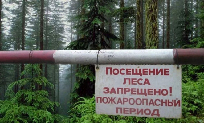 Жителям Удмуртии запретили посещать лес с 7 по 12 мая из-за угрозы пожаров