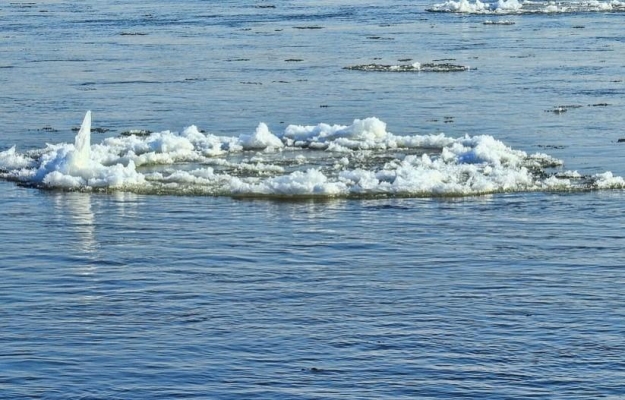 В Удмуртии уровень воды на реке Чепца поднялся почти на 2 метра