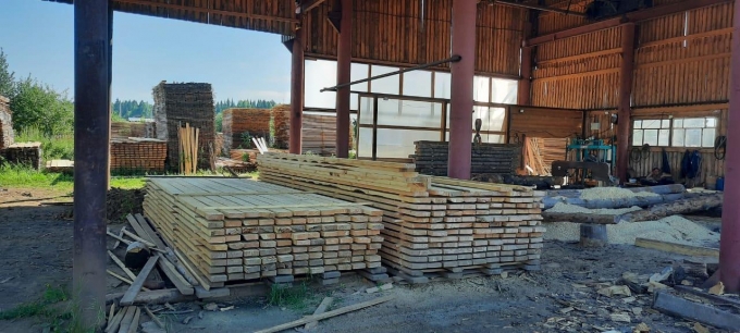 Шесть нелегальных пунктов приема и переработки древесины выявили в Удмуртии