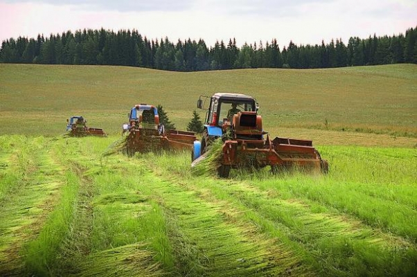 Аграрии Удмуртии не смогли вывести лен на экспорт в 2020 году