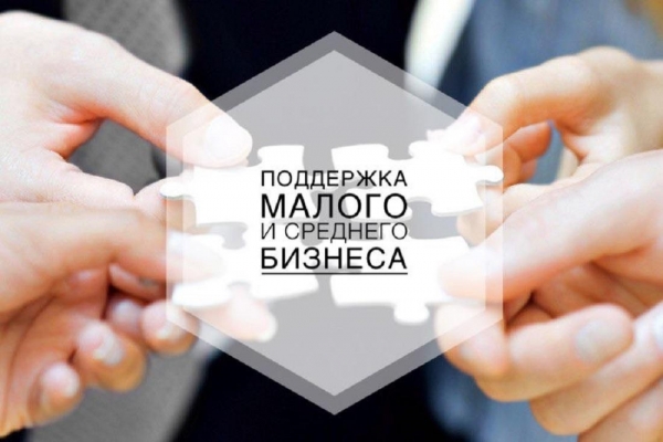 Удмуртия получит более 45 млн рублей на поддержку предпринимательства 