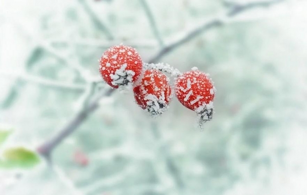 Похолодание до -20°С ожидается в Удмуртии с 19 ноября