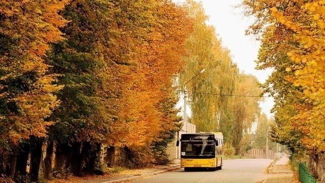 В Покровскую родительскую субботу ИПОПАТ пустит автобусы до кладбищ Ижевска