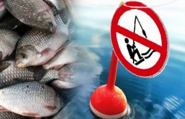 В Удмуртии на период нереста ввели ограничения на ловлю рыбы