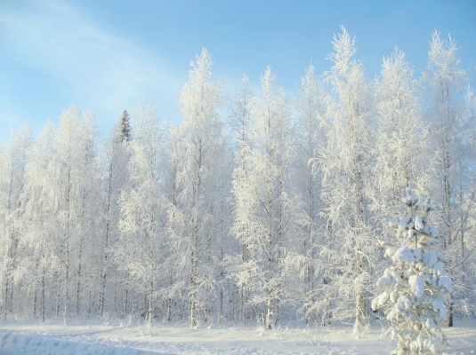 Первые 20-градусные морозы ожидаются в Удмуртии 19 ноября
