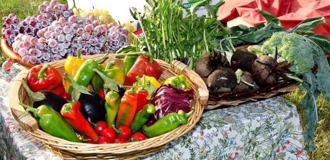 На ярмарках в Удмуртии начнут выделять бесплатные места для садоводов-любителей