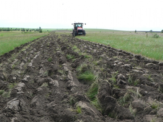 Более 7,6 тыс. га неиспользуемых сельхозземель вернули в оборот в Удмуртии