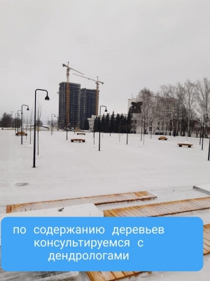 Глава Ижевска оценил зимнее содержание Центральной площади