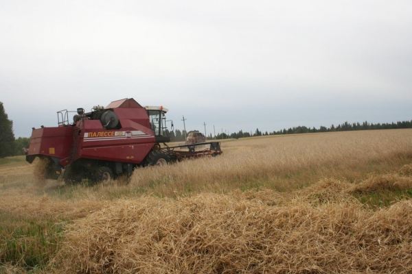 Минсельхоз России отметил рост урожайности зерновых культур в Удмуртии