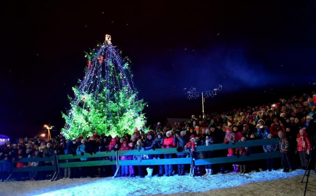 Огни на первой Новогодней елке в Удмуртии зажгут 7 декабря в усадьбе Тол Бабая