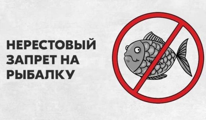С 25 апреля по 5 июня 2024 года в Удмуртии вводится полный запрет на рыбную ловлю