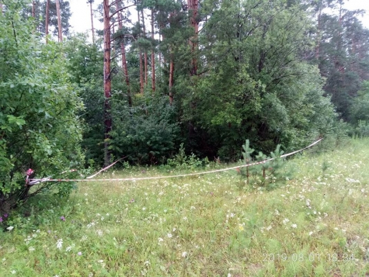 Тело подростка, объявленного в розыск, обнаружили в лесу в Можгинском районе