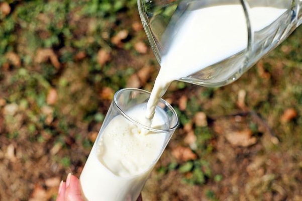 Удмуртия — в лидерах по объемам реализации молока