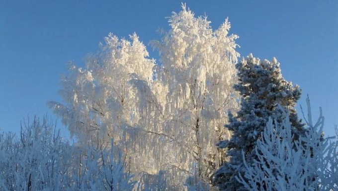 До -27°С похолодает в Удмуртии в ночь на 29 января
