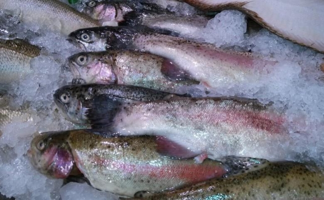 Более 8 тонн просроченной рыбы и мясной продукции изъяли из оборота в Ижевске