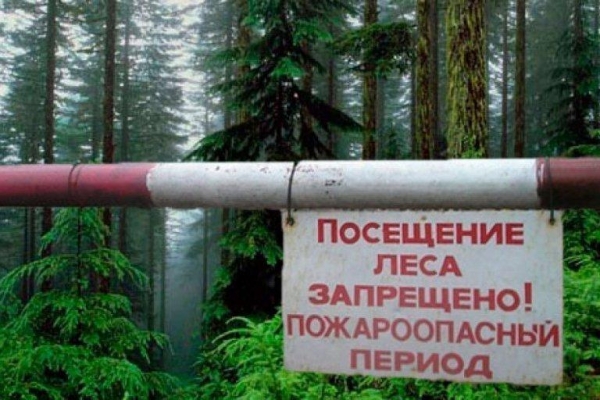 В 20 районах Удмуртии запретили посещать леса