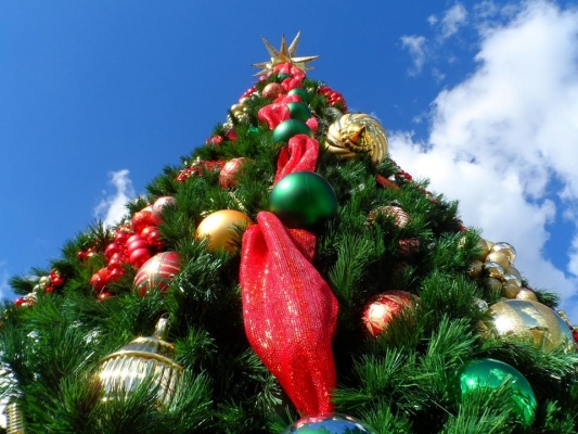 1,7 млн рублей выделят на украшения для новогодней елки на Центральной площади Ижевска