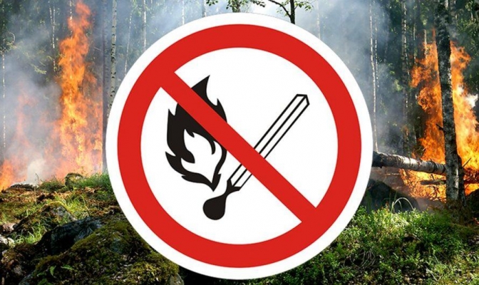В лесах Удмуртии отменили особый противопожарный режим