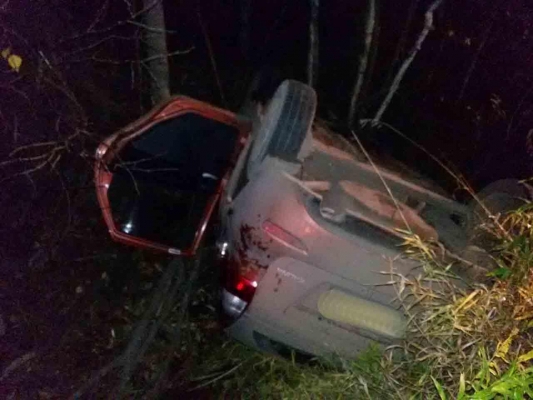«Лада Калина» опрокинулась в кювет на трассе в Удмуртии, водитель погиб