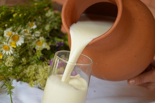 Минсельхоз Удмуртии: закупочные цены на молоко в регионе стабильны