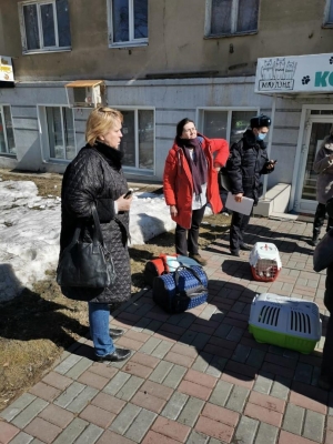 В Ижевске освободили кошек-заложниц из котокафе