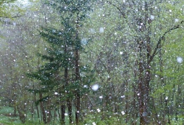 Кратковременные дожди с мокрым снегом пройдут в Удмуртии 29 апреля