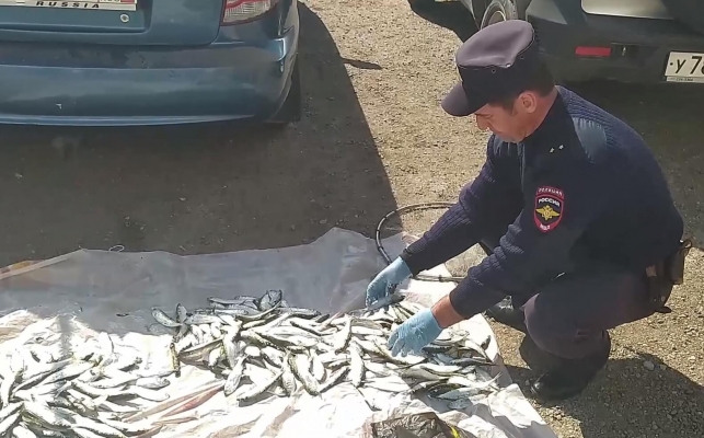 В Удмуртии у браконьеров изъяли  более 100 кг незаконно добытой рыбы