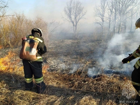 Ландшафтный пожар в Камбарском районе успешно ликвидирован
