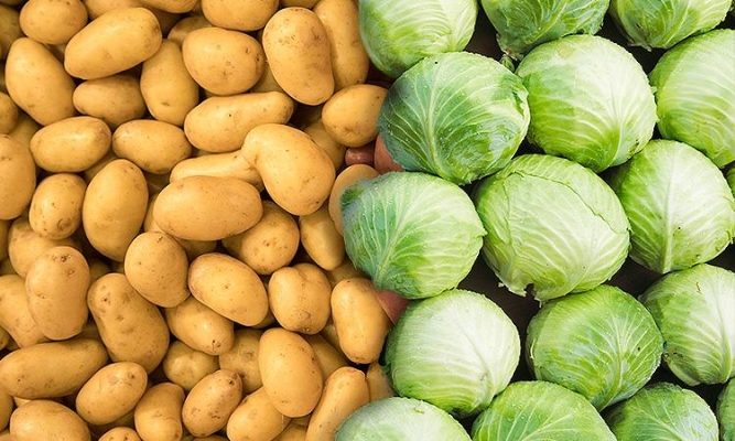 За предыдущую неделю в Удмуртии более всего подрожали  капуста и картофель 