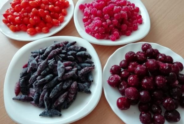Жители Ижевска активно помогают обитателям зоопарка Удмуртии овощами и ягодами
