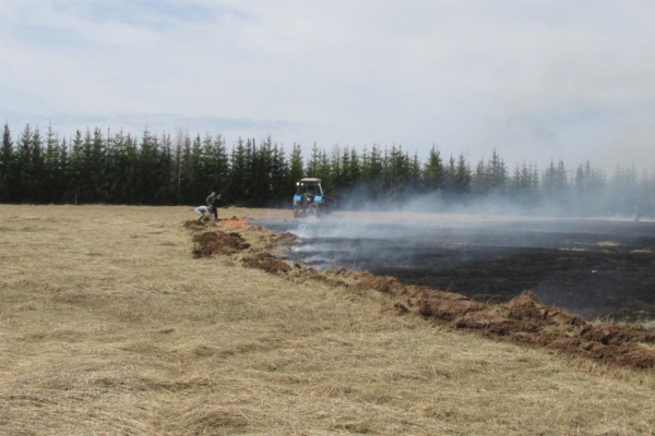 Непотушенный окурок во время сбора хвоща привел к возгоранию травы на площади 11 гектаров в Удмуртии