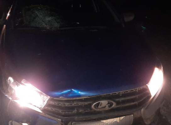 Водитель сбил девушку-пешехода на трассе в Удмуртии