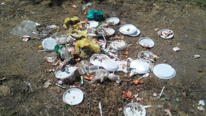 Молодежный парламент Удмуртии предложил ограничить продажу пластиковых пакетов и посуды