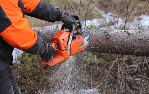 Уголовное дело возбудили в Удмуртии по факту незаконной рубки леса на сумму более 1,2 млн рублей