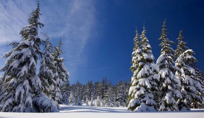 Морозы до -23°С ожидаются в Удмуртии в ночь на 28 января