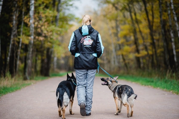 В Ижевске в 2021 году могут построить 9 площадок для выгула собак 